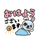 ☆チワワの心菜☆可愛く伝える編（個別スタンプ：1）