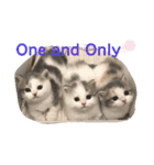One and Only スタンプ ①（個別スタンプ：1）