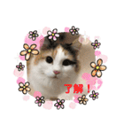 One and Only スタンプ ①（個別スタンプ：3）