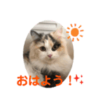 One and Only スタンプ ①（個別スタンプ：5）