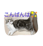 One and Only スタンプ ①（個別スタンプ：7）