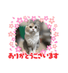 One and Only スタンプ ①（個別スタンプ：8）