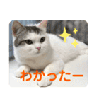 One and Only スタンプ ①（個別スタンプ：11）
