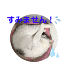 One and Only スタンプ ①（個別スタンプ：13）