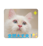 One and Only スタンプ ①（個別スタンプ：16）