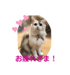 One and Only スタンプ ①（個別スタンプ：18）