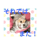 One and Only スタンプ ①（個別スタンプ：21）