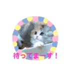 One and Only スタンプ ①（個別スタンプ：22）