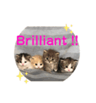 One and Only スタンプ ①（個別スタンプ：24）
