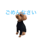 といぷーどるの日常生活2（個別スタンプ：2）