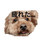 といぷーどるの日常生活2（個別スタンプ：6）