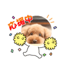 といぷーどるの日常生活2（個別スタンプ：10）