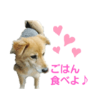 ももちゃん16歳（個別スタンプ：4）