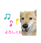 ももちゃん16歳（個別スタンプ：6）