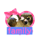 モルモットのあめそらfamily（個別スタンプ：4）