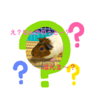 モルモットのあめそらfamily（個別スタンプ：9）
