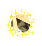 モルモットのあめそらfamily（個別スタンプ：11）