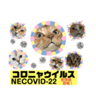 茶虎猫のニャン神タイガース ネタVer.（個別スタンプ：3）