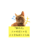 茶虎猫のニャン神タイガース ネタVer.（個別スタンプ：5）