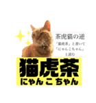 茶虎猫のニャン神タイガース ネタVer.（個別スタンプ：6）