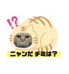 茶虎猫のニャン神タイガース ネタVer.（個別スタンプ：9）