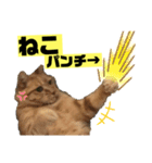 茶虎猫のニャン神タイガース ネタVer.（個別スタンプ：11）