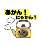 茶虎猫のニャン神タイガース ネタVer.（個別スタンプ：16）