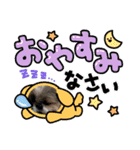 シーズーのNANAちゃま♡日常（個別スタンプ：1）