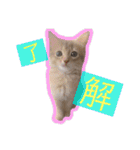竹中家の愉快な仲間たち（個別スタンプ：4）