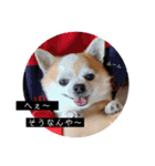 竹中家の愉快な仲間たち（個別スタンプ：12）