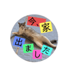 竹中家の愉快な仲間たち（個別スタンプ：19）