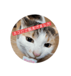 竹中家の愉快な仲間たち（個別スタンプ：26）