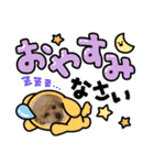 キラミラちゃんご挨拶（個別スタンプ：2）