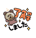 キラミラちゃんご挨拶（個別スタンプ：3）