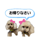 キラミラちゃんご挨拶（個別スタンプ：10）