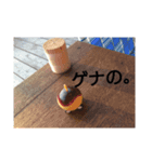 もっちゃんザ・スタンプ！4（個別スタンプ：5）