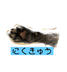 ブブブブブリティッシュ（個別スタンプ：15）