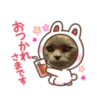ブブブブブリティッシュ（個別スタンプ：21）