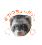 ろあ_いたちの日常vol.1（個別スタンプ：7）