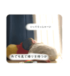 アタチの日常2@（個別スタンプ：8）