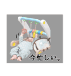 うるちゃんスタンプ3（個別スタンプ：20）