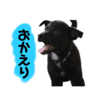 su86（個別スタンプ：1）