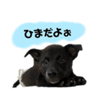 su86（個別スタンプ：2）