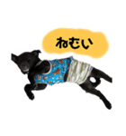 su86（個別スタンプ：3）
