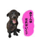 su86（個別スタンプ：4）