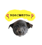 su86（個別スタンプ：5）