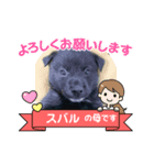 su86（個別スタンプ：6）