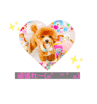 まるぷーのぷりんくん2（個別スタンプ：2）