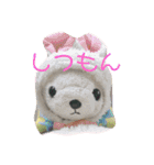 アランぱく89★（個別スタンプ：2）