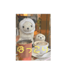 アランぱく89★（個別スタンプ：3）